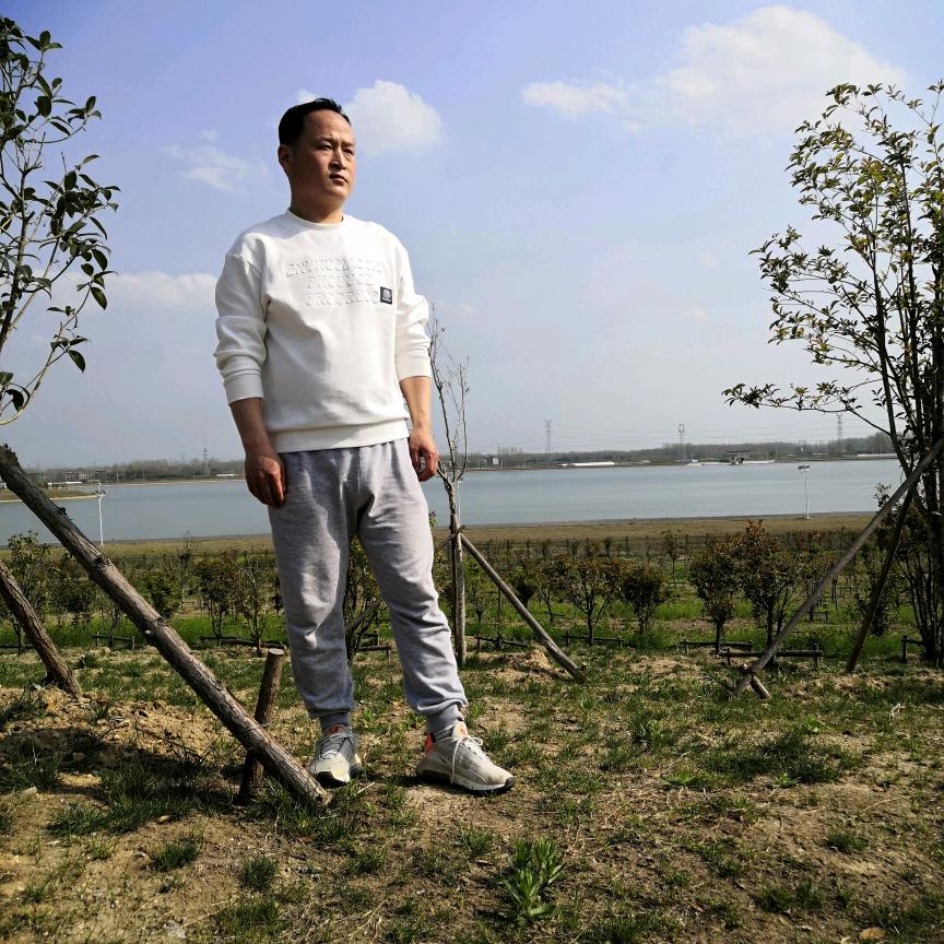 没想好咋办..桑螵蛸，