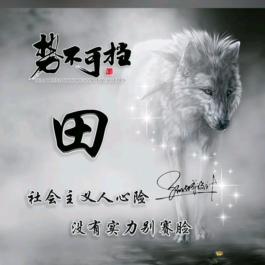 永顺龙腾通讯