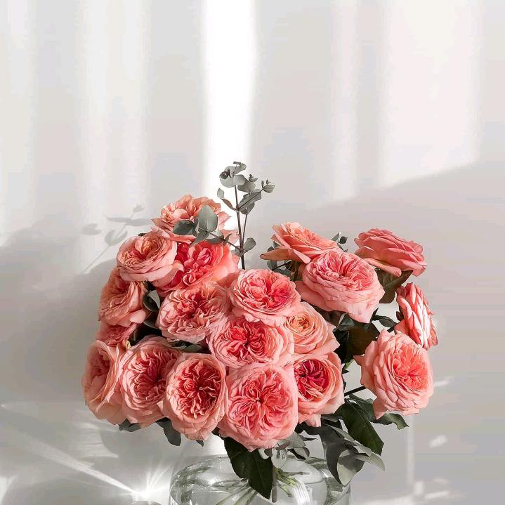 芬