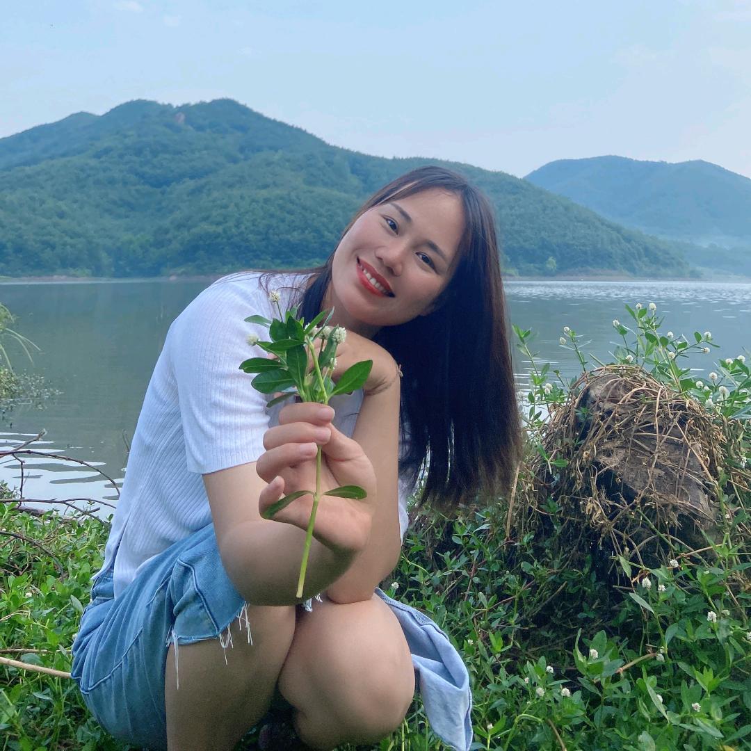 骄傲的风信子