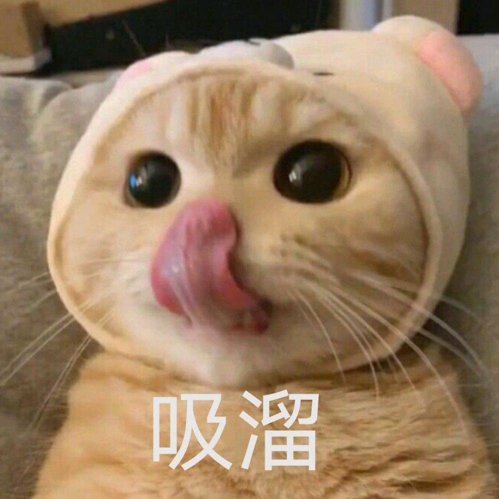 你算哪块小饼干