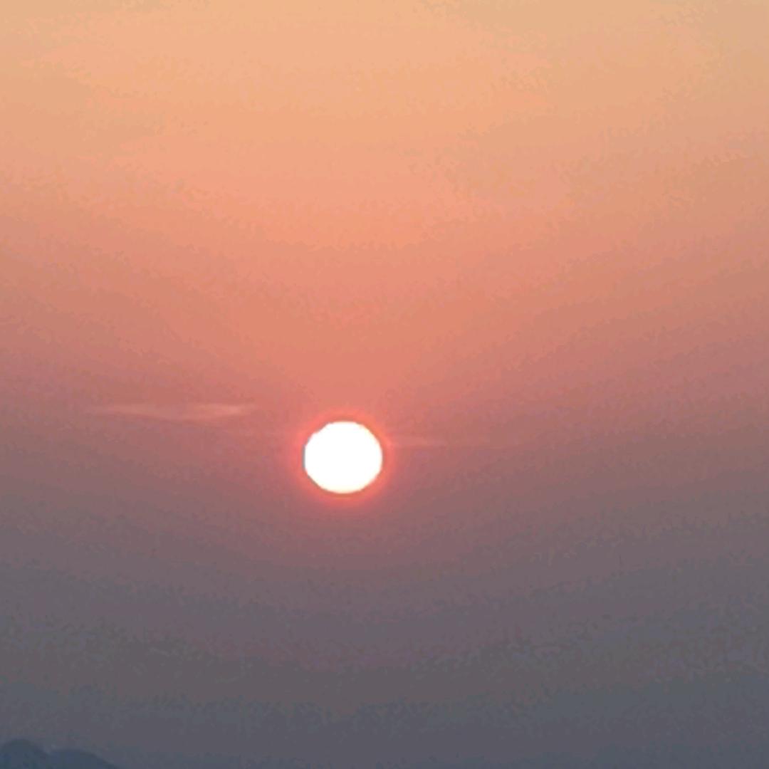 我也是醉了