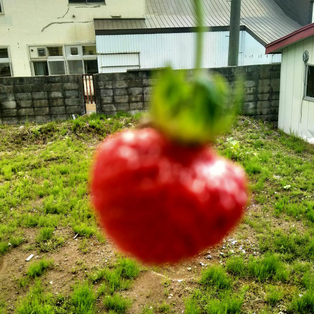 职工社保优化   木子李