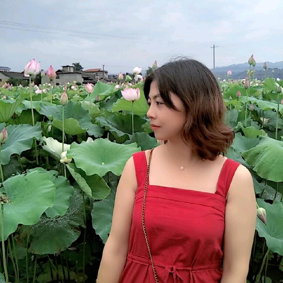 杨慢慢