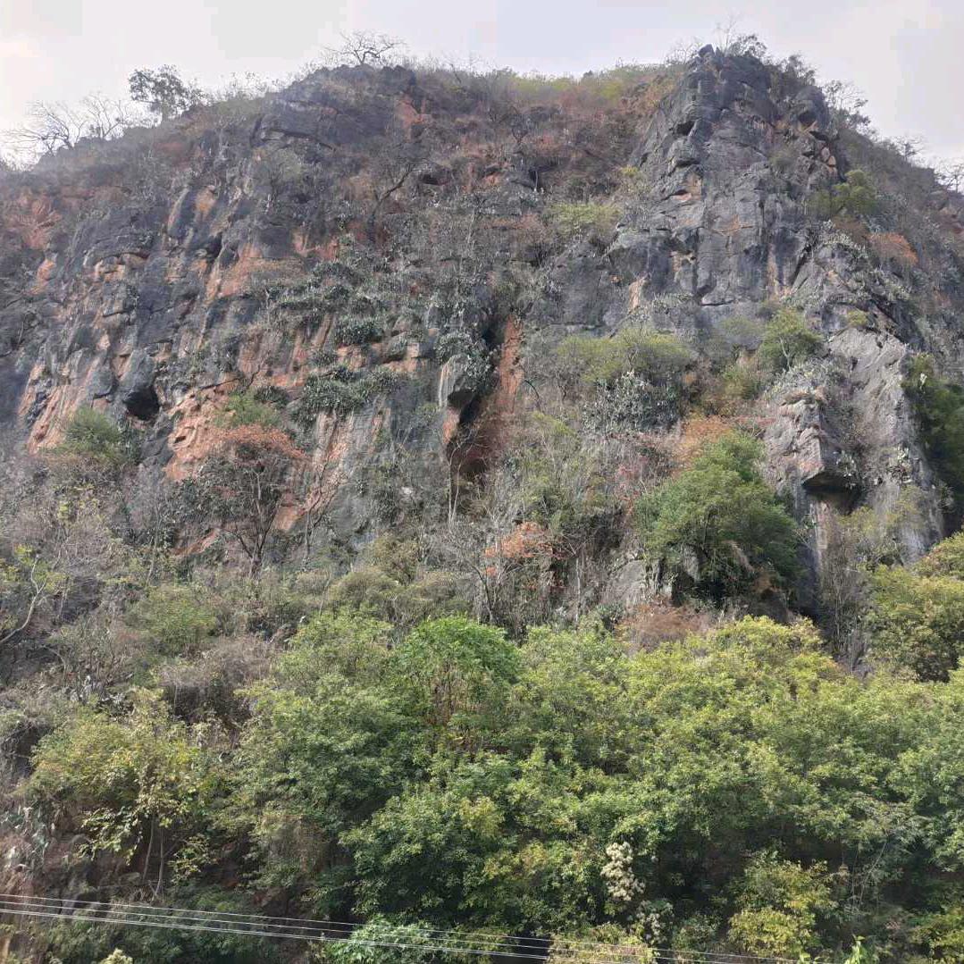 戒烟戒酒不戒你