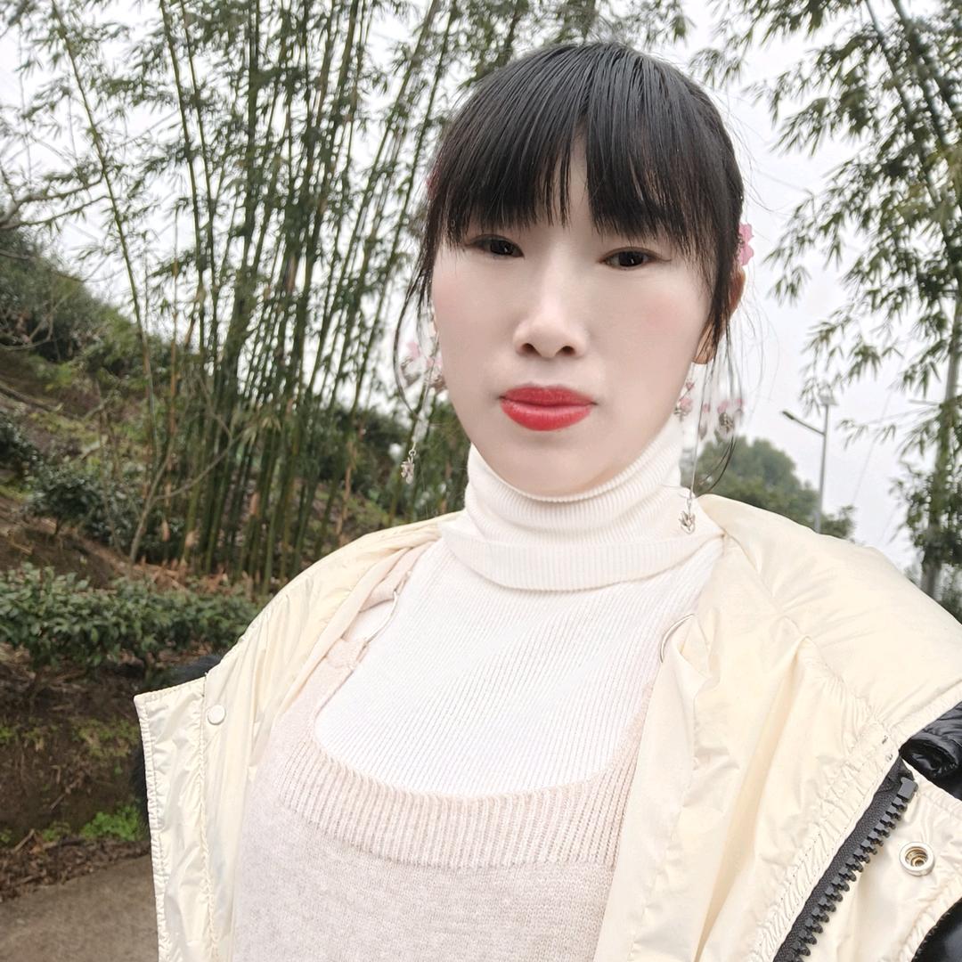 单只蝴蝶！《承蒙厚爱》