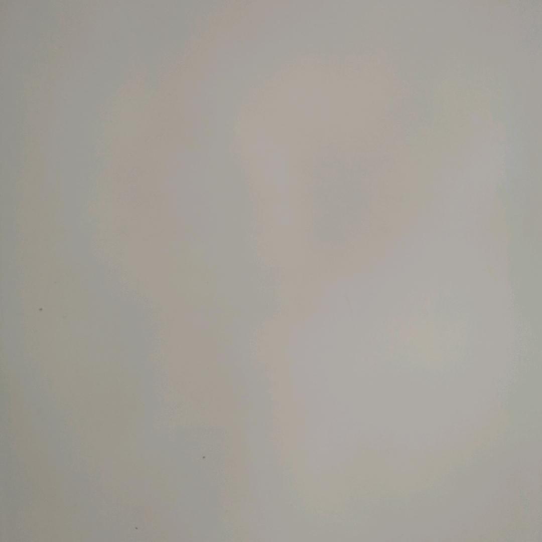 何去何从