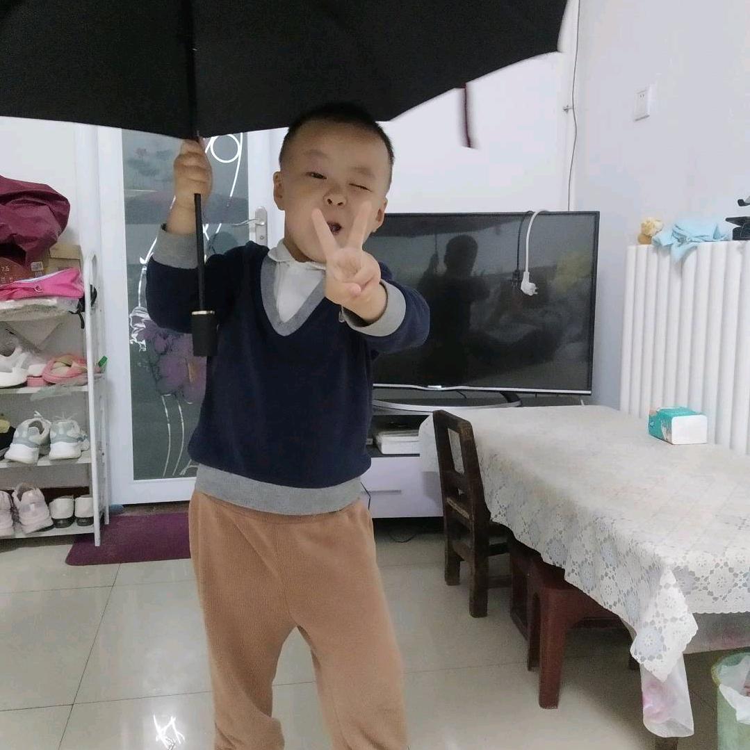 北极熊之光