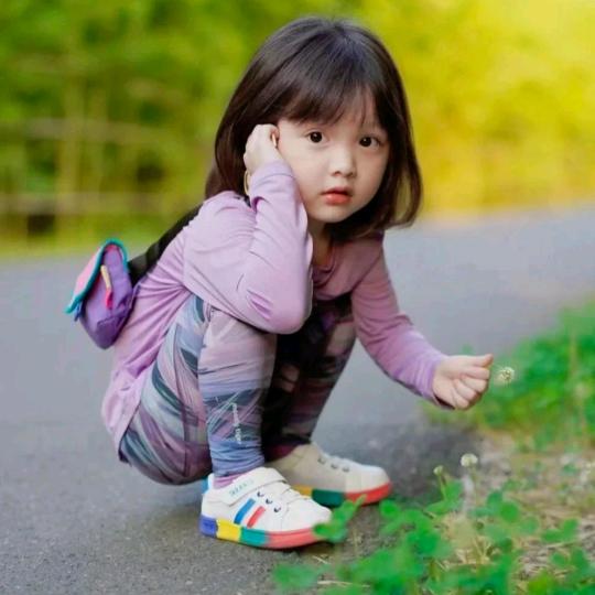 莉莉姐