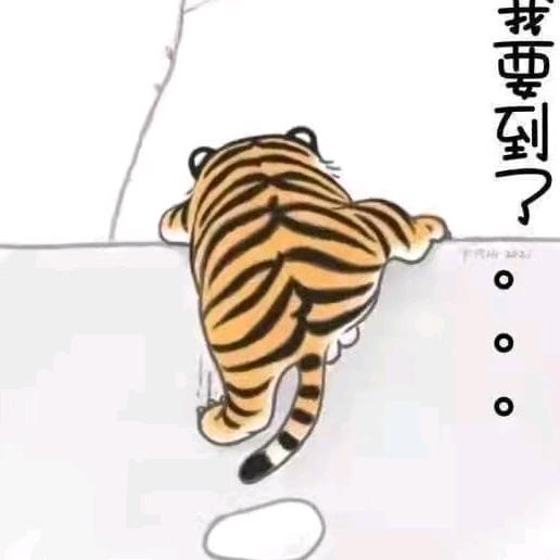 陈比峰
