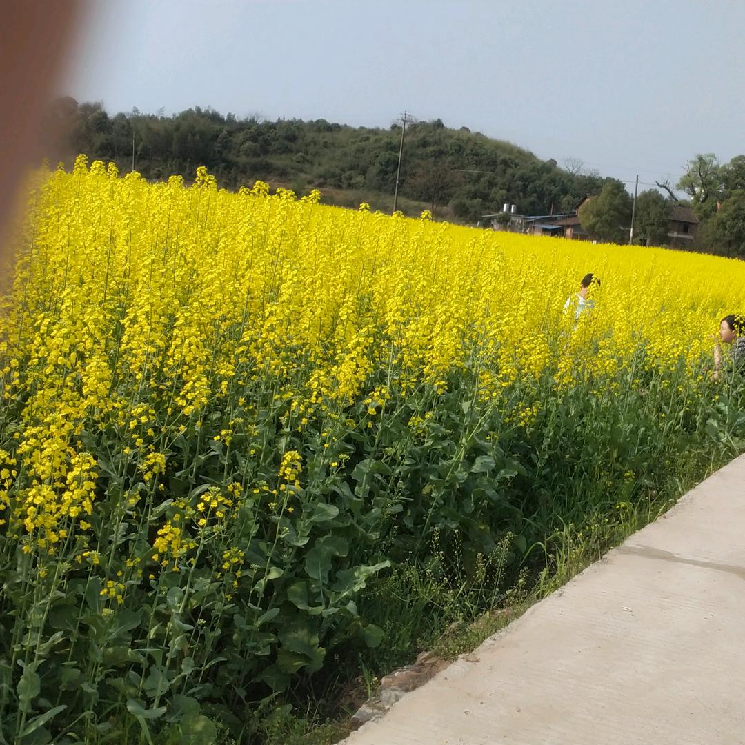 你是我的风景123
