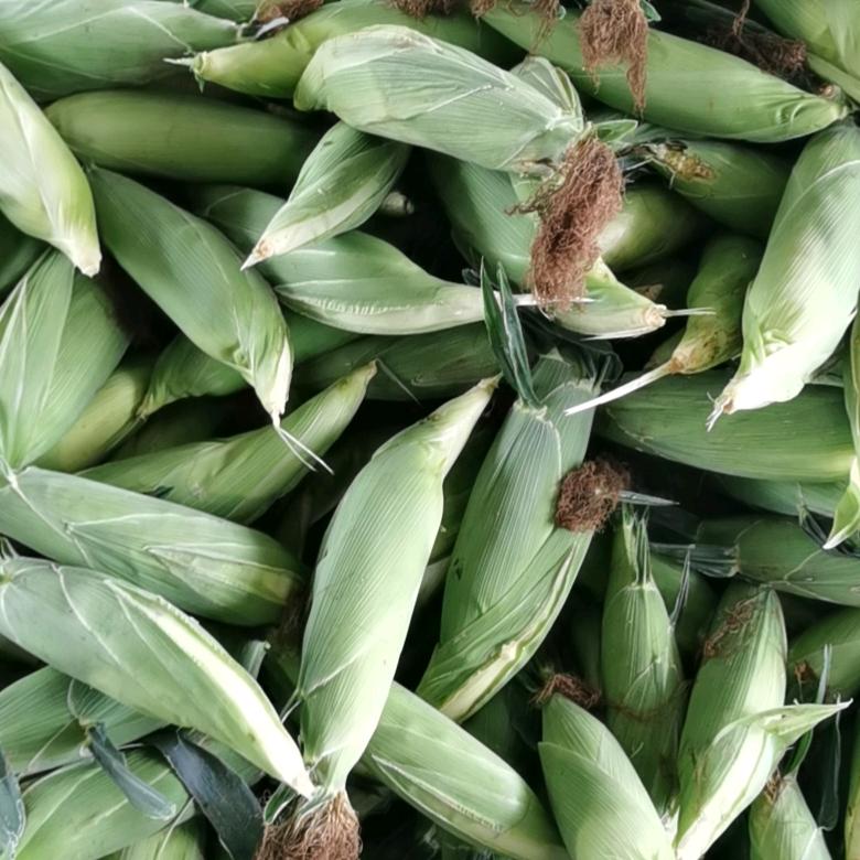 广厦农产品祥用