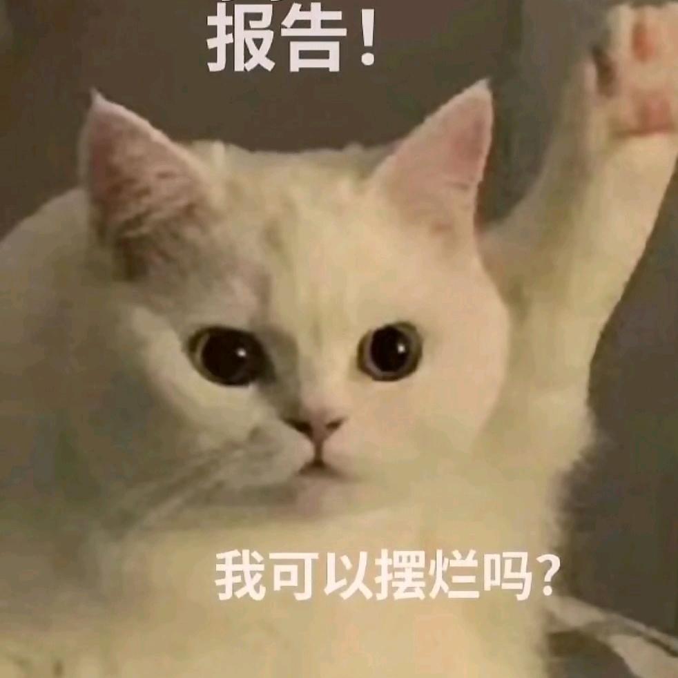 你超级无敌棒啊