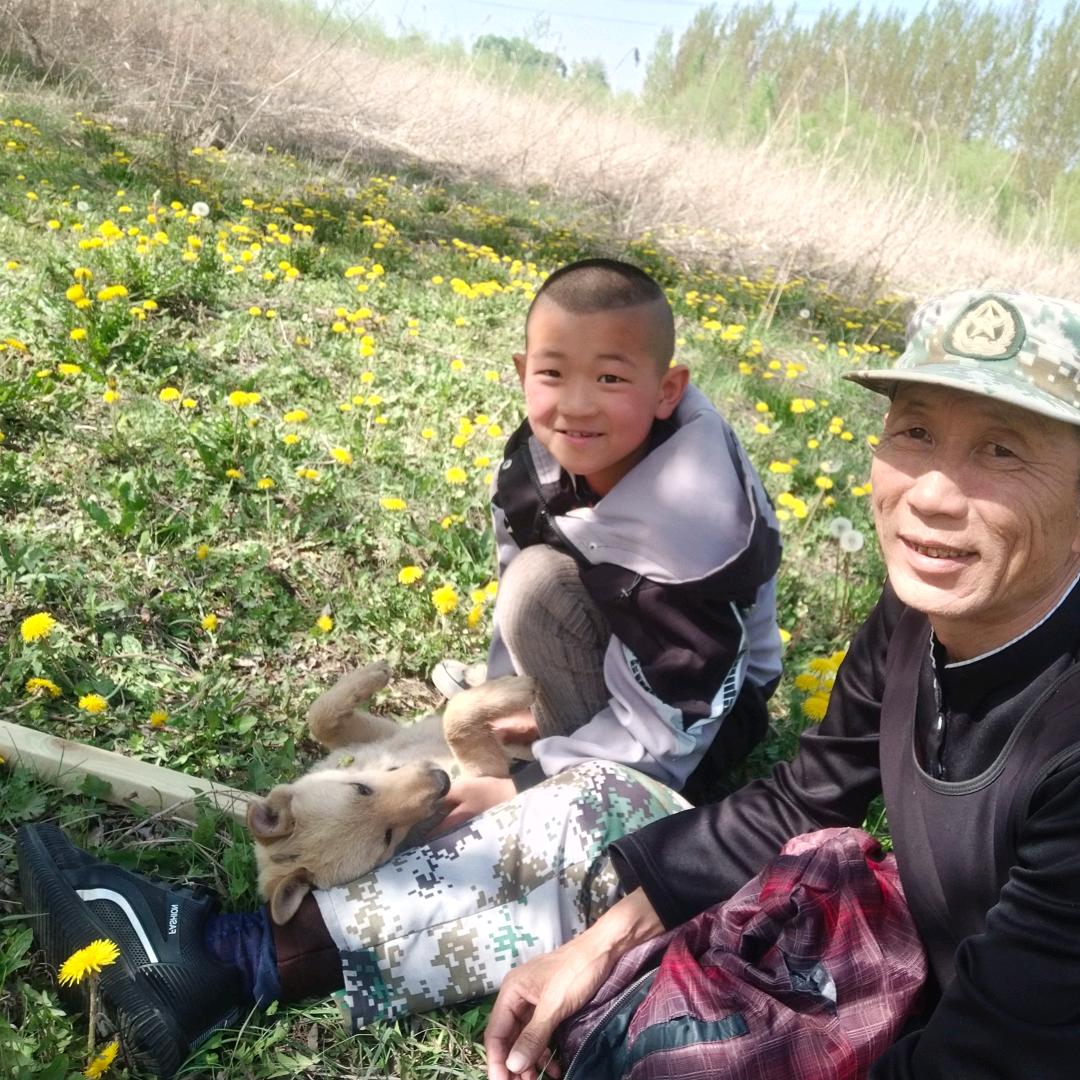 苗再兴