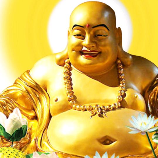 落花寂无声