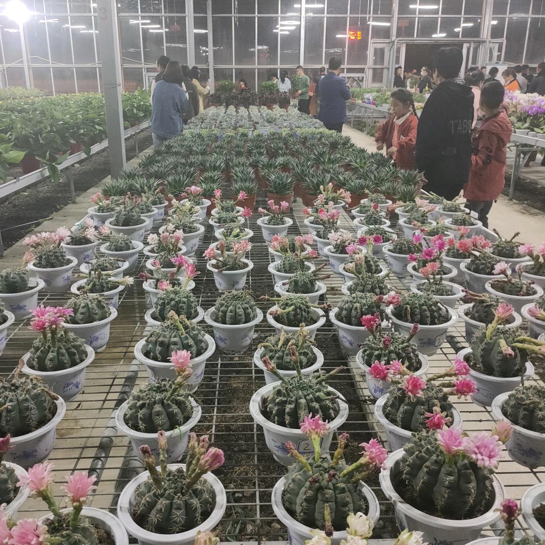 高价回收旧衣服