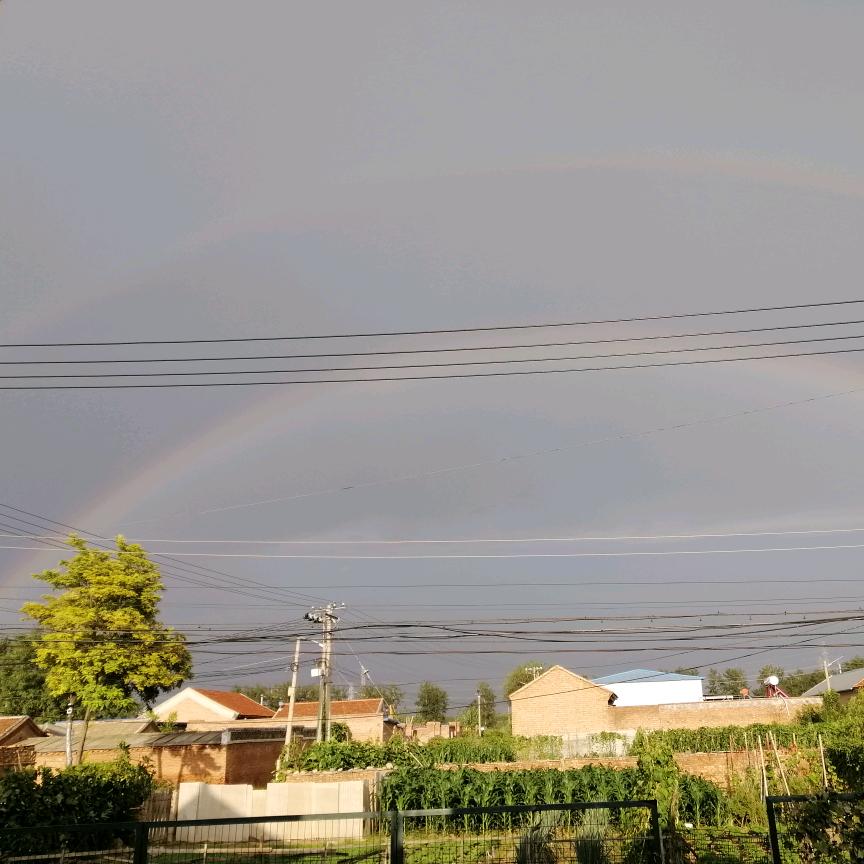 萌小汤