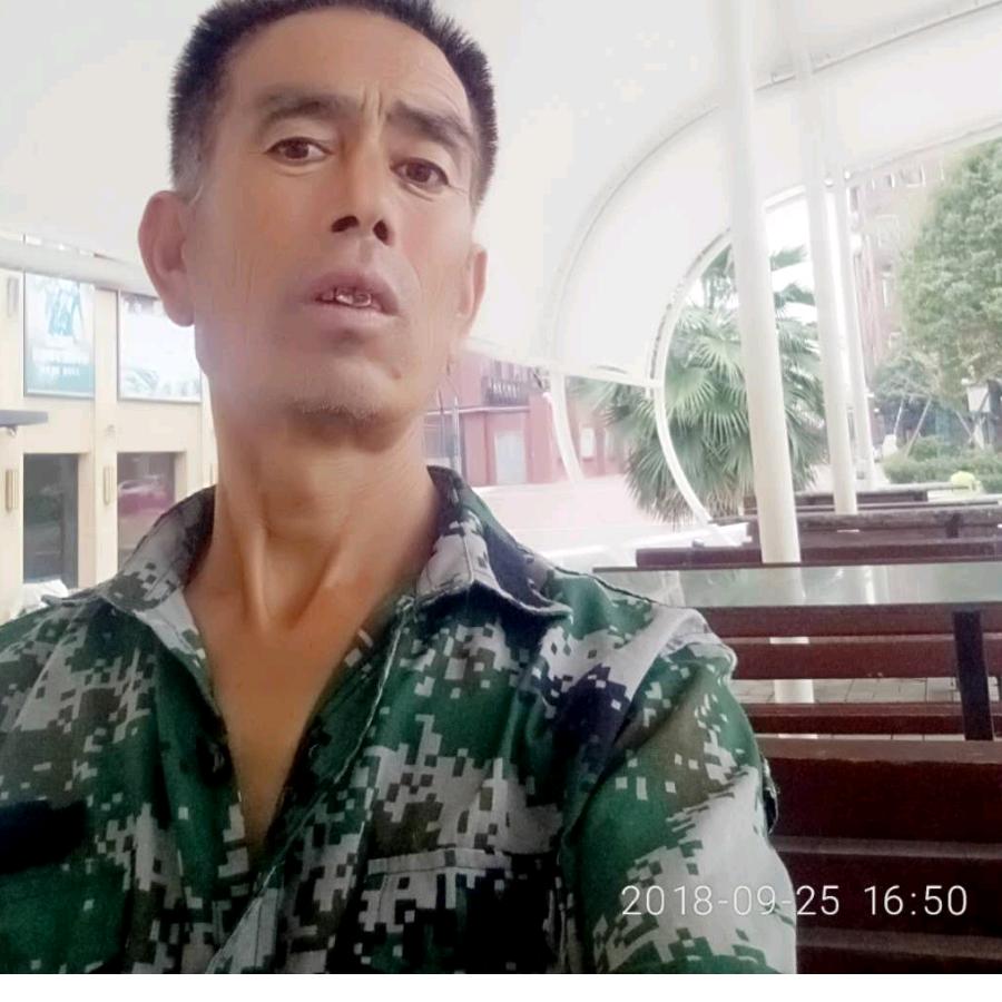 老王苗木