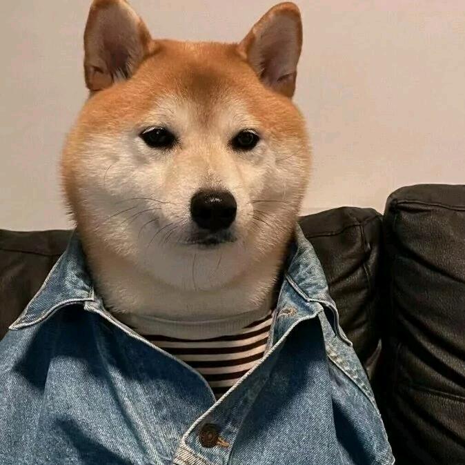 迷♨️雾