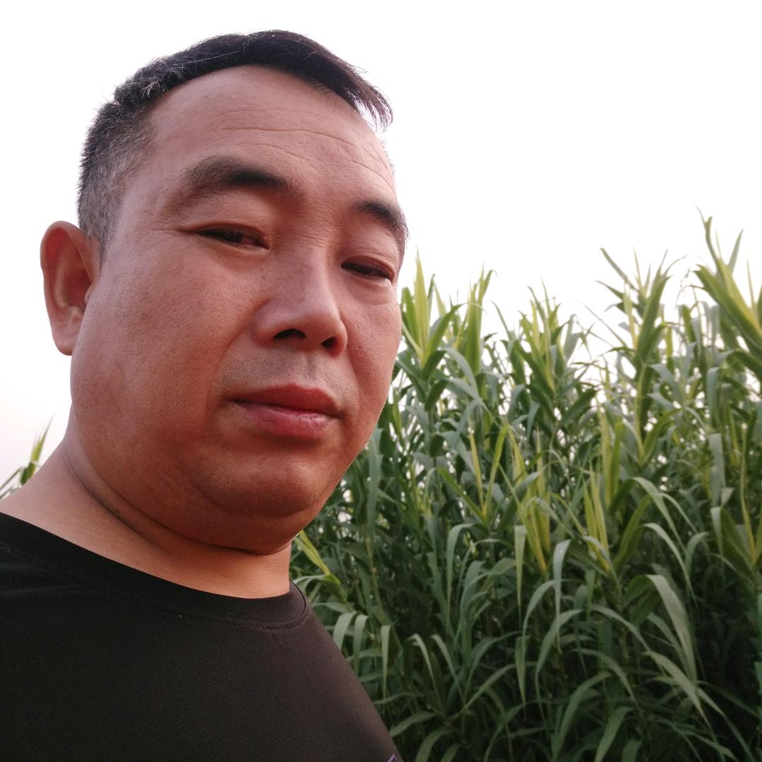 白记:秘酱油炸馍