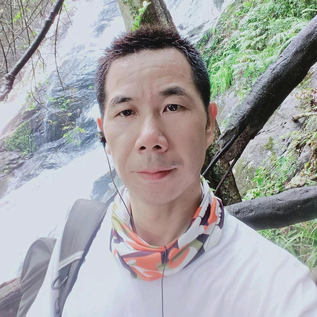 宝哥回农村