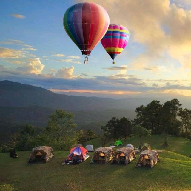 胡伟（小角楼酒业）