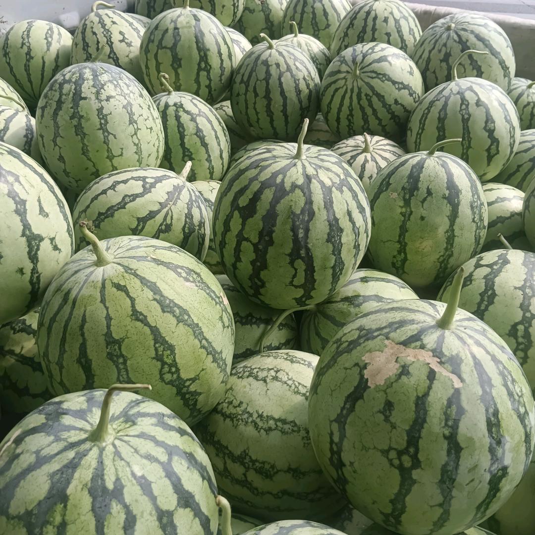 水果人@890