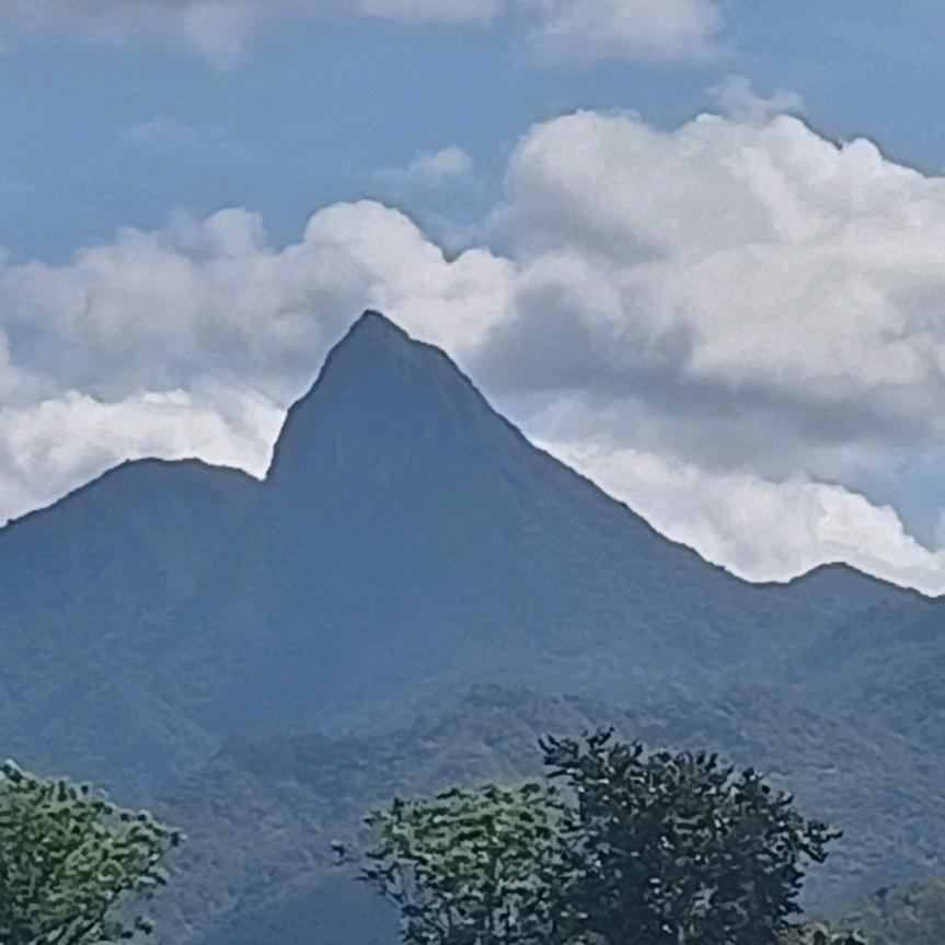 尖峰美猴王一一司机