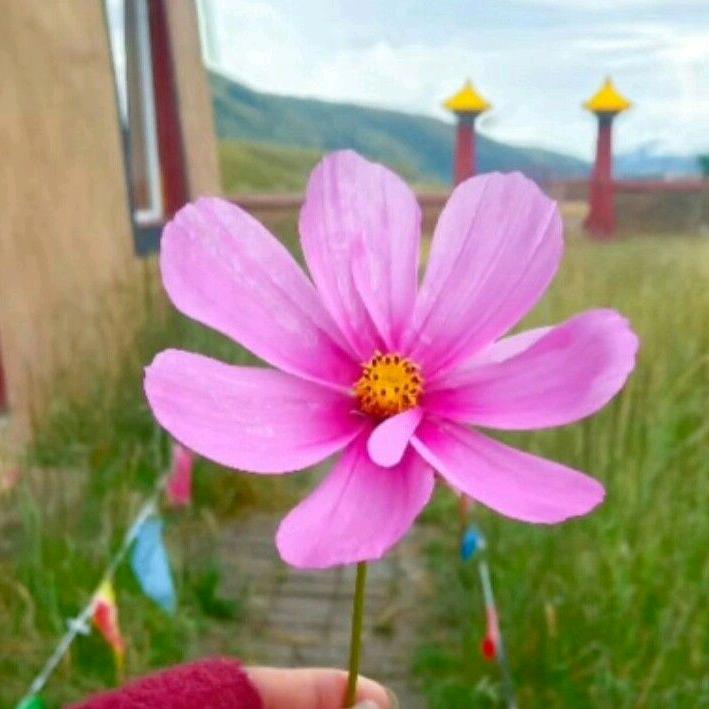 དུང་སེམས་