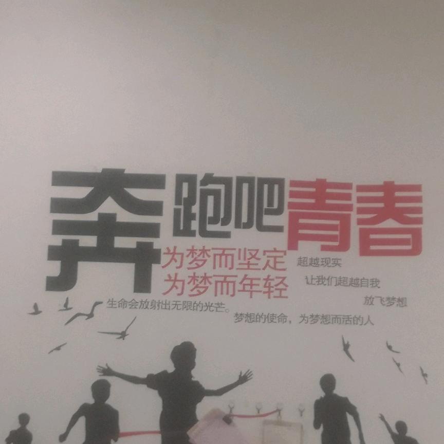 啦啦啦啦德玛西亚