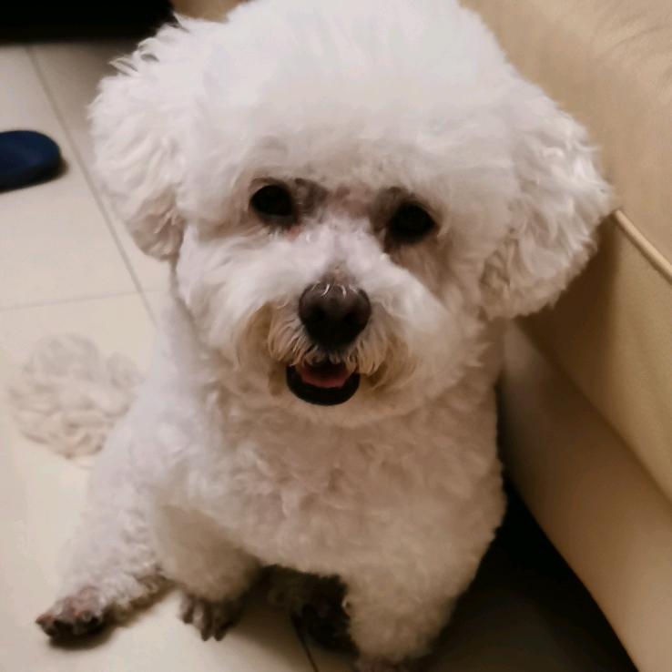 王子