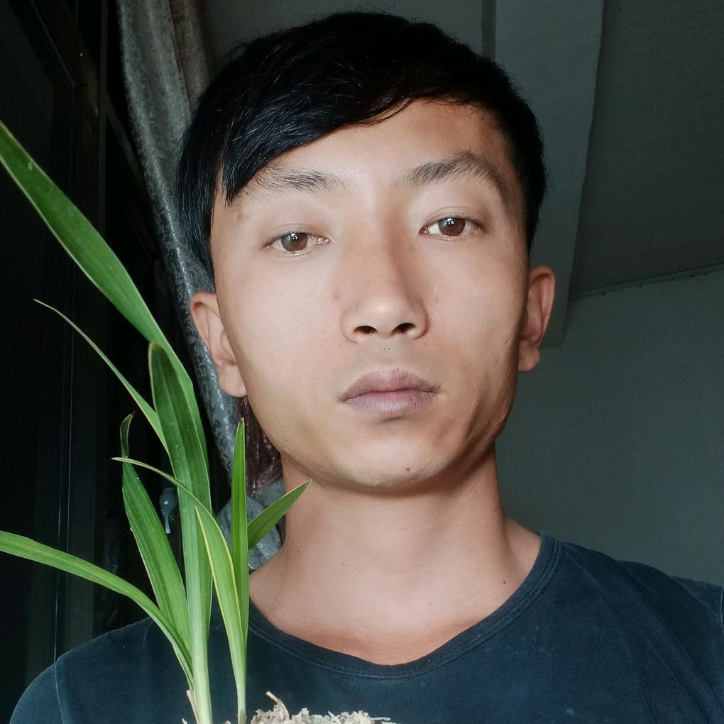 兰花小子王欢花卉