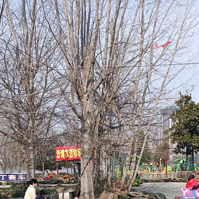 你
