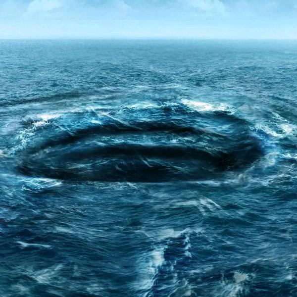 金猪介绍，包你满意