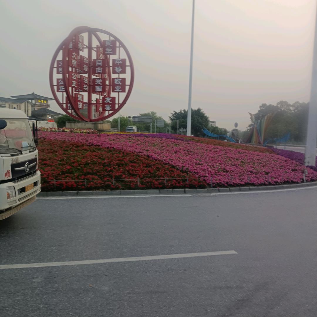 美丽天使