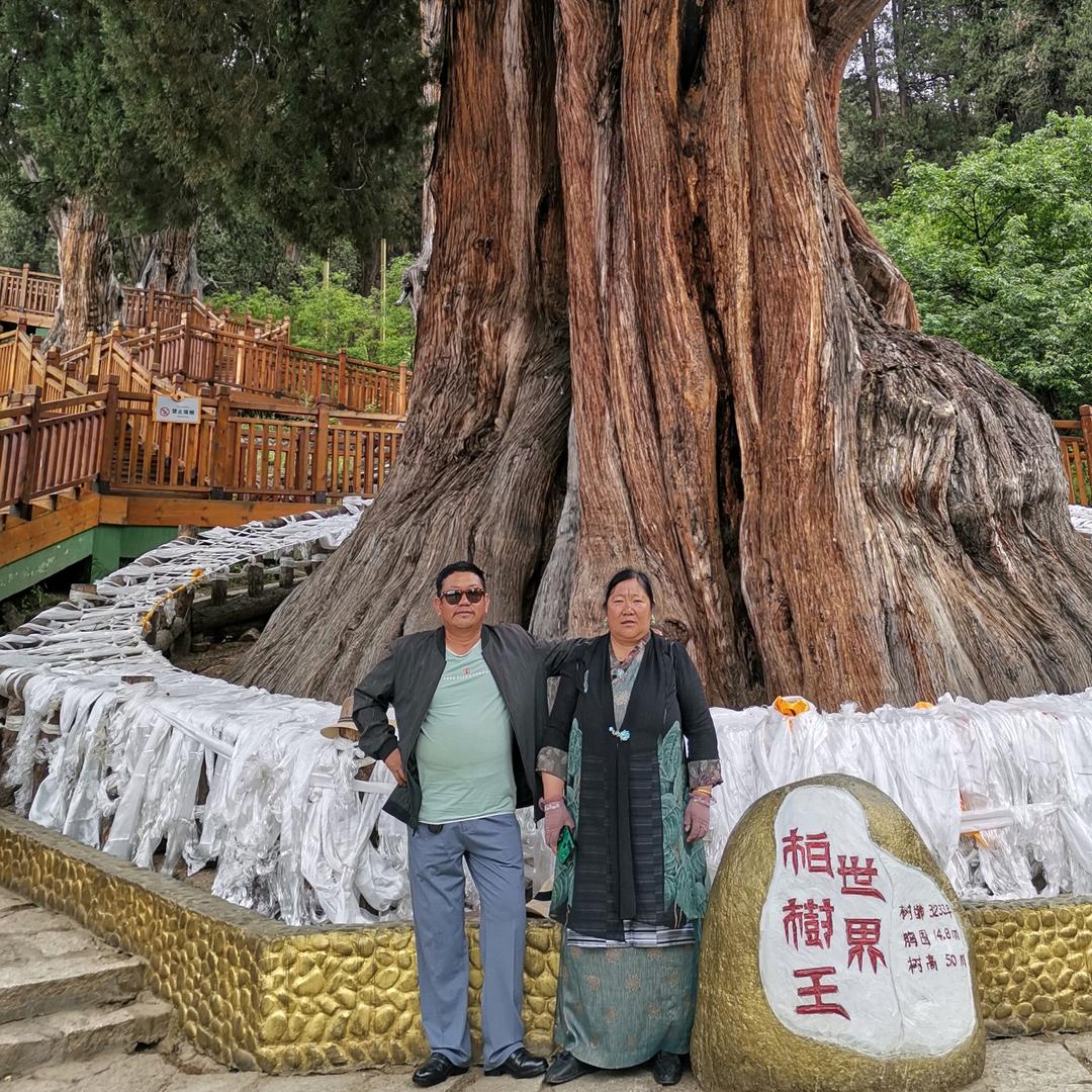尼次
