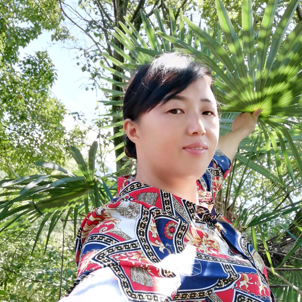 阳光中的风