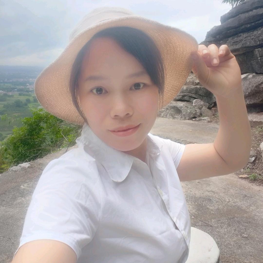 玫瑰绽放