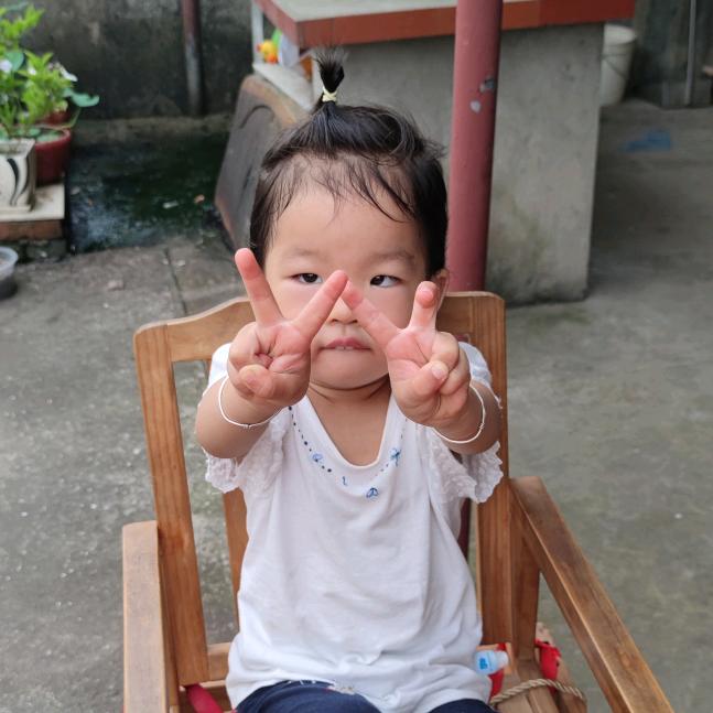 大职业
