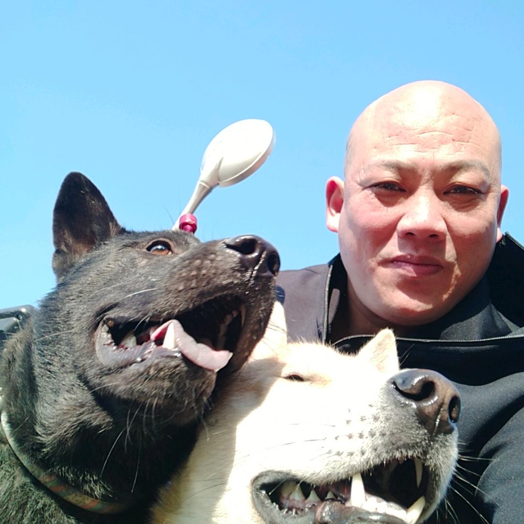 潮汕土狗，黑豹