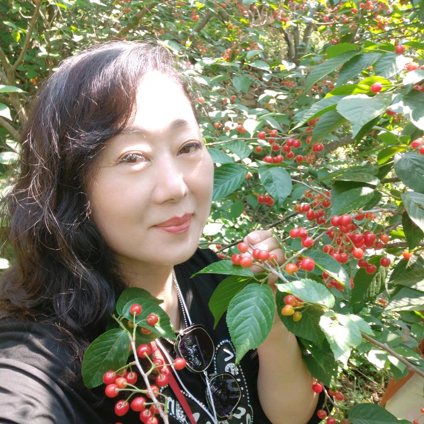风景如画
