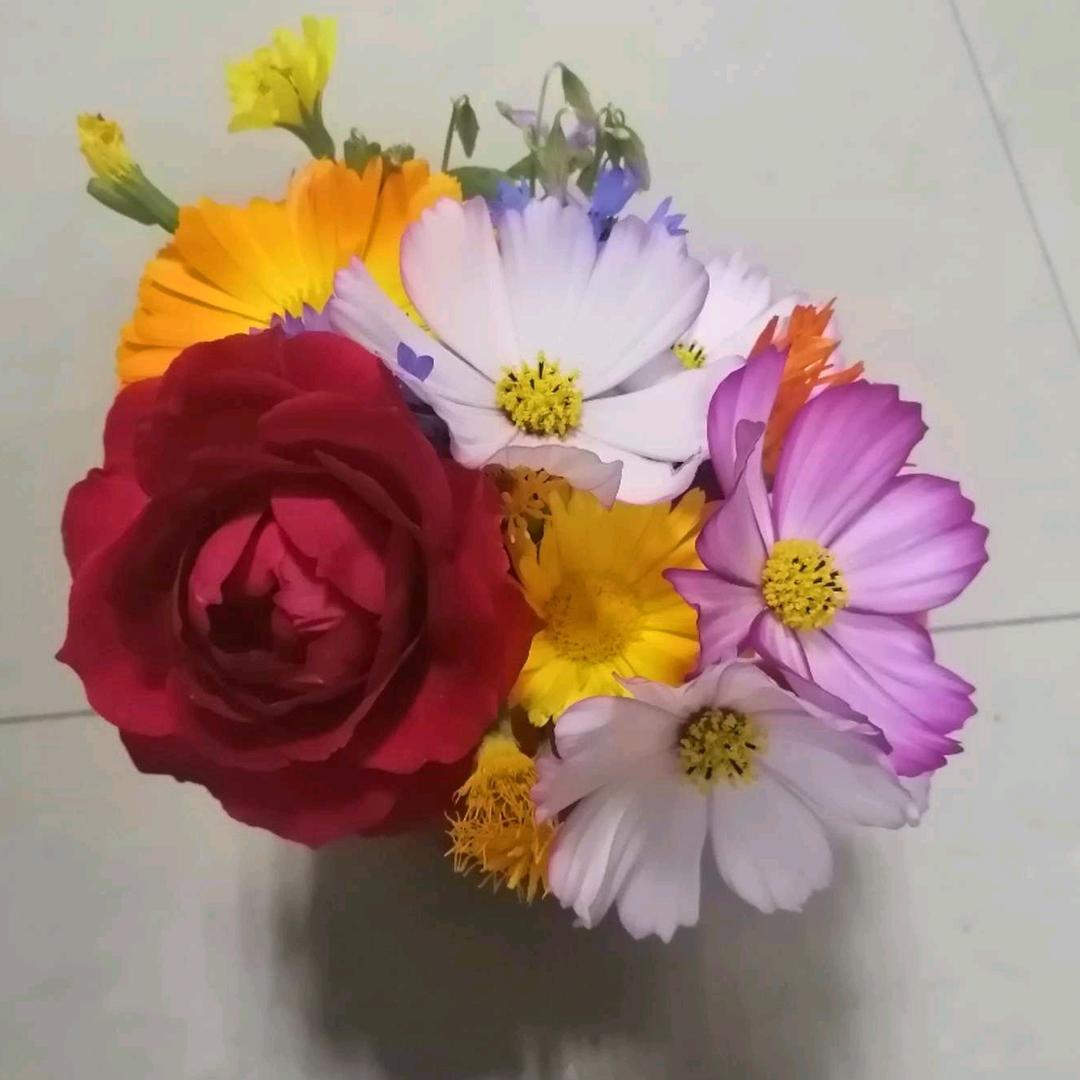 你帮我起的名字叫大姐