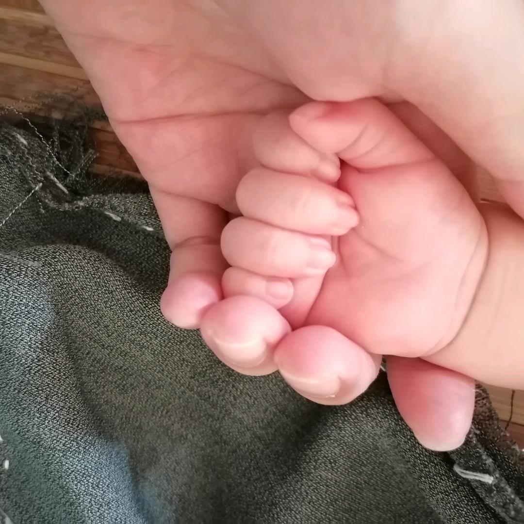 新丰牛杂
