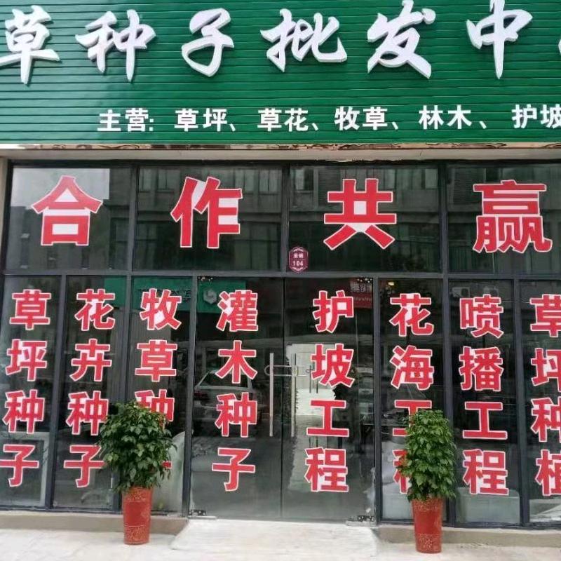 林瑞草坪种子