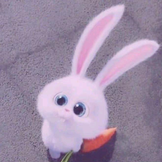 艳儿💫
