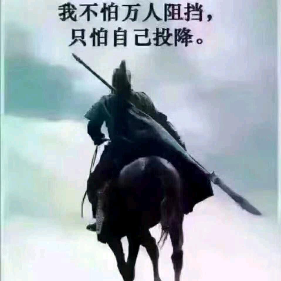 费先生