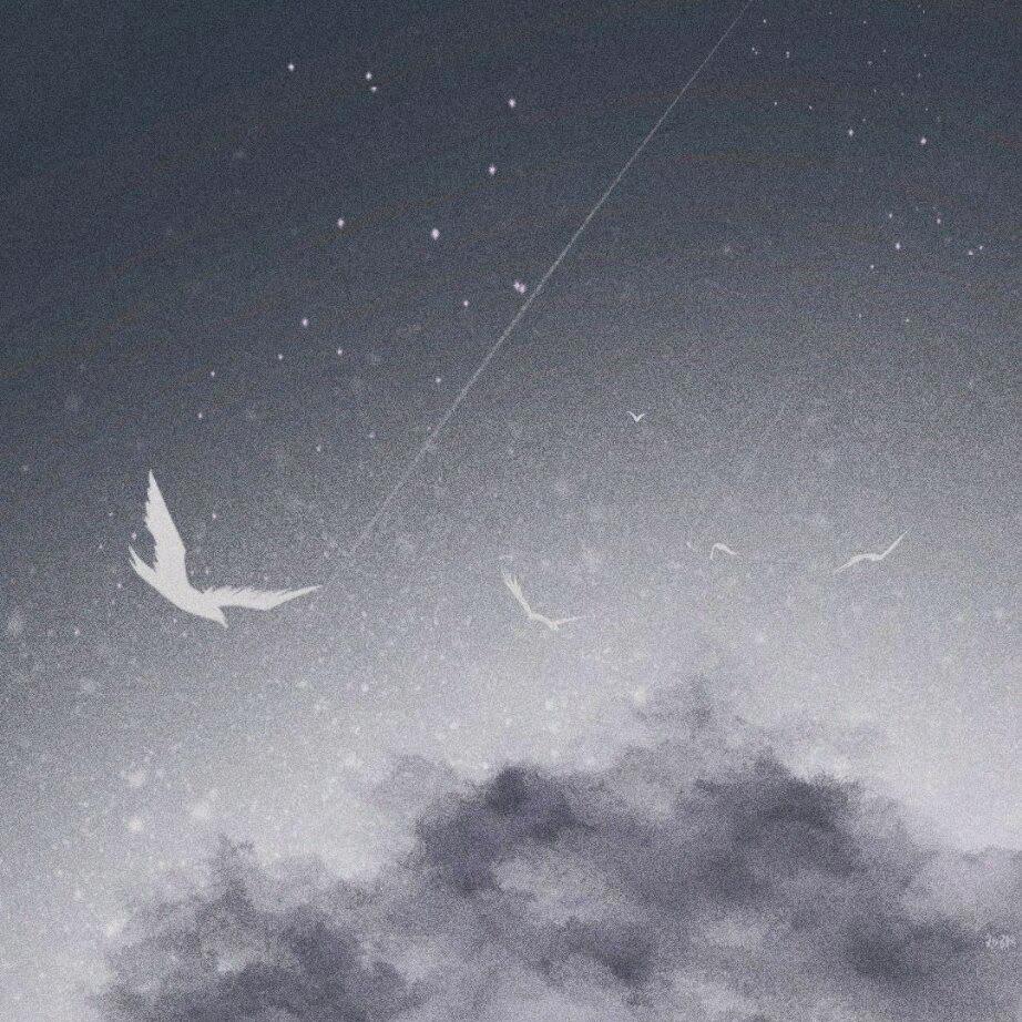 🌈江野泽爱不爱美