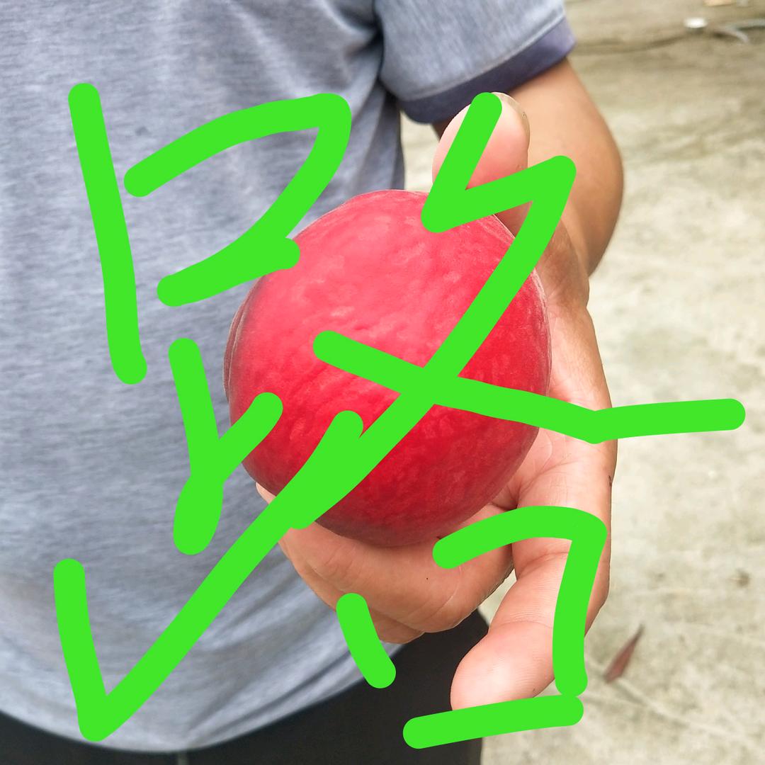 路