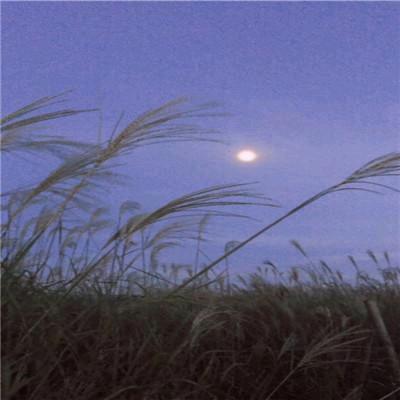 小白粥