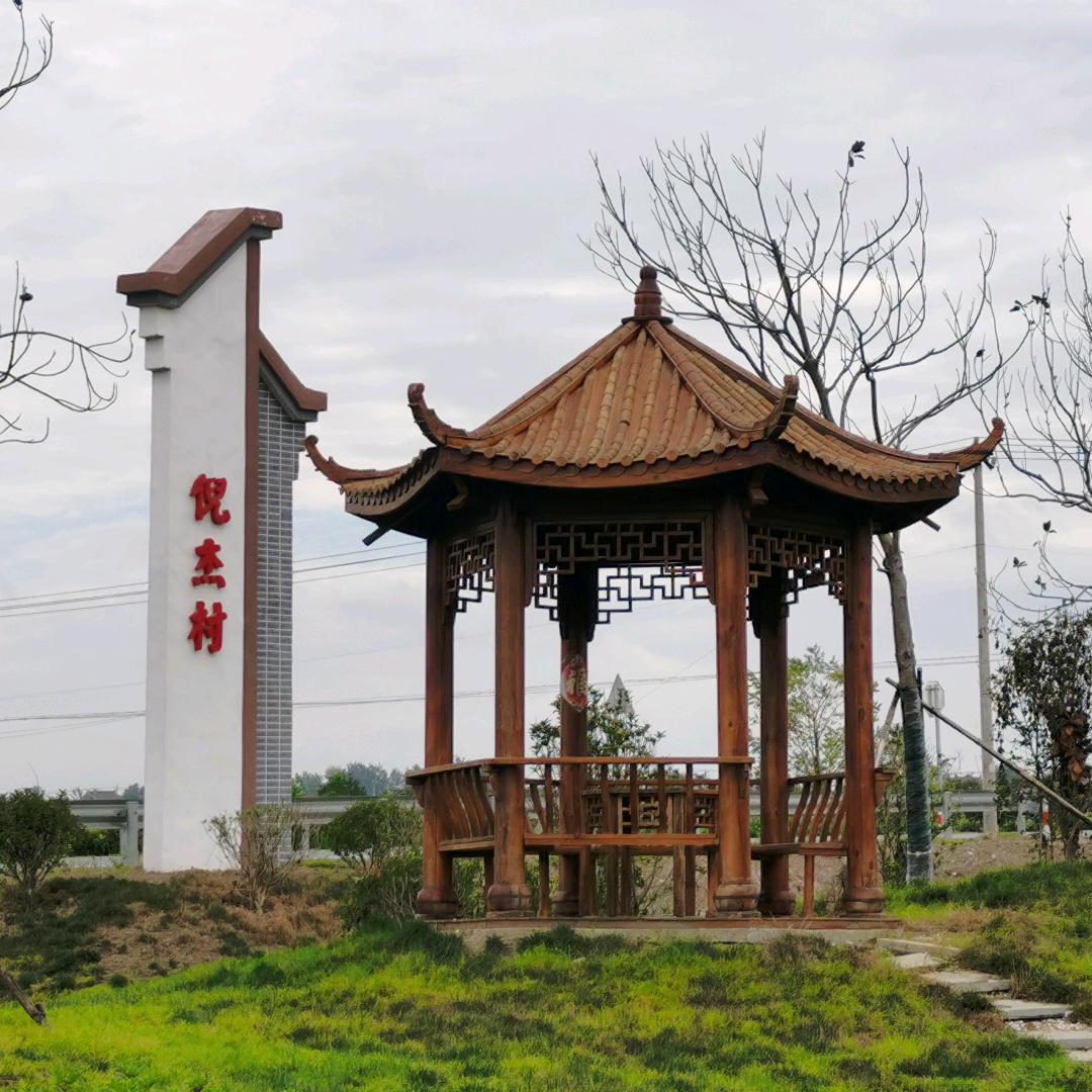 倪杰村直播带货